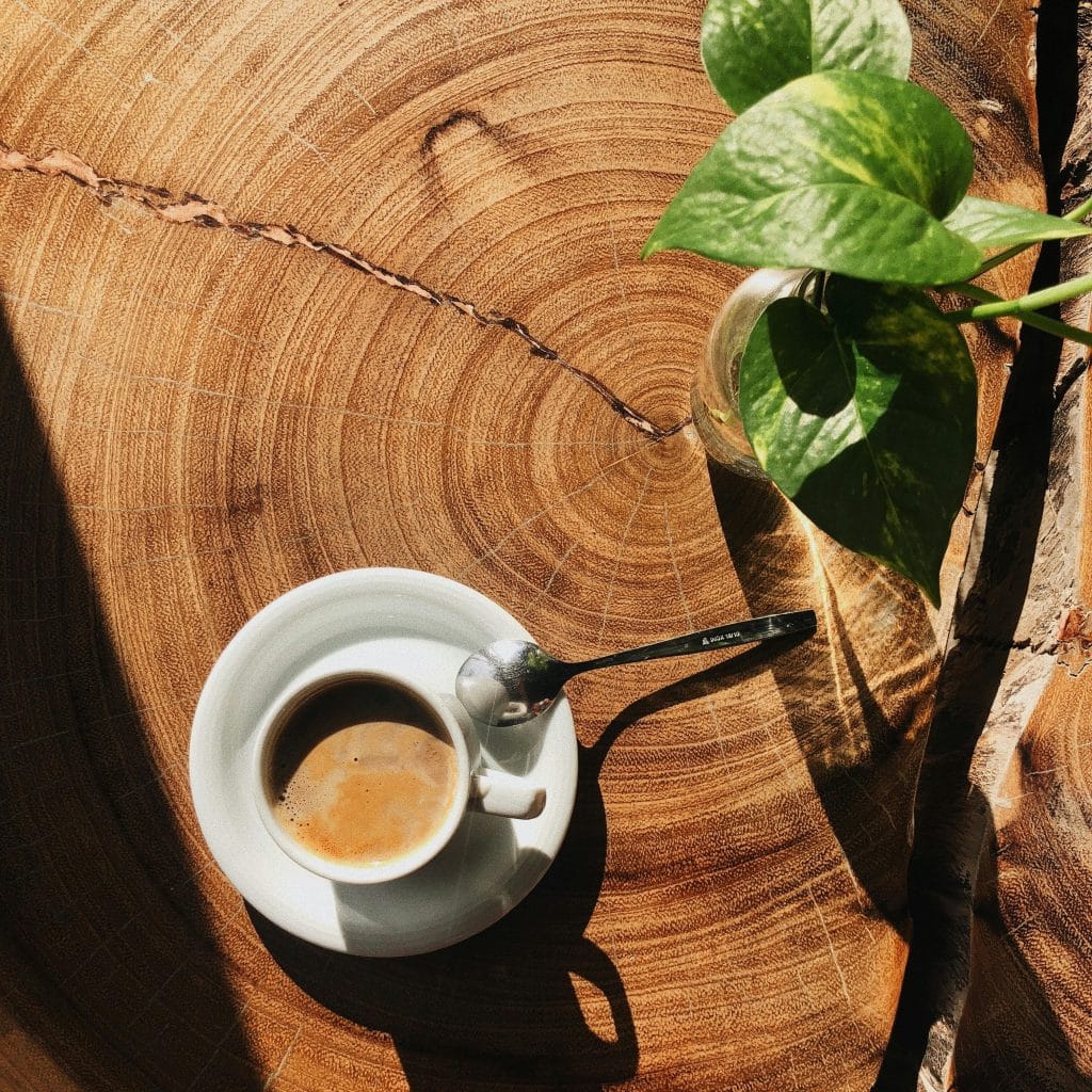 Tasse de café sur un tronc d'arbre avec plante verte